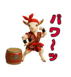 仲良し三匹 エイサー編（個別スタンプ：11）