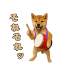 仲良し三匹 エイサー編（個別スタンプ：14）