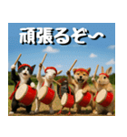 仲良し三匹 エイサー編（個別スタンプ：22）