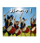 仲良し三匹 エイサー編（個別スタンプ：32）