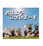 仲良し三匹 エイサー編（個別スタンプ：37）