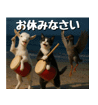 仲良し三匹 エイサー編（個別スタンプ：40）