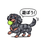 ダックス(ロング＋シルバーダップル）（個別スタンプ：1）