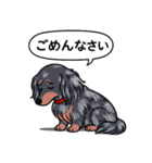 ダックス(ロング＋シルバーダップル）（個別スタンプ：2）