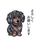 ダックス(ロング＋シルバーダップル）（個別スタンプ：3）