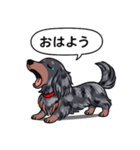 ダックス(ロング＋シルバーダップル）（個別スタンプ：4）