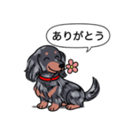 ダックス(ロング＋シルバーダップル）（個別スタンプ：5）
