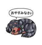 ダックス(ロング＋シルバーダップル）（個別スタンプ：9）
