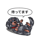 ダックス(ロング＋シルバーダップル）（個別スタンプ：10）