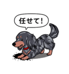 ダックス(ロング＋シルバーダップル）（個別スタンプ：15）