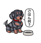 ダックス(ロング＋シルバーダップル）（個別スタンプ：24）