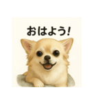 ちわわのもも、写実風。（個別スタンプ：1）