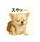 ちわわのもも、写実風。（個別スタンプ：3）