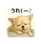ちわわのもも、写実風。（個別スタンプ：7）