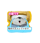 わしの笛！！！（個別スタンプ：3）