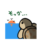 カメ吉とくるまるちゃん6（個別スタンプ：15）
