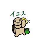 カメ吉とくるまるちゃん6（個別スタンプ：16）