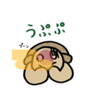 カメ吉とくるまるちゃん6（個別スタンプ：19）
