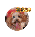 ni-na①（個別スタンプ：1）