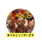 ni-na①（個別スタンプ：7）