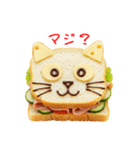 サンドイッチの猫、ぱくっと一言（個別スタンプ：15）