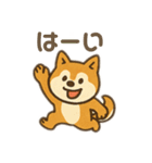 柴犬ひめちゃんのスタンプ（個別スタンプ：2）