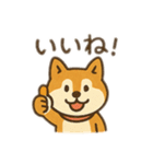 柴犬ひめちゃんのスタンプ（個別スタンプ：3）