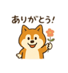 柴犬ひめちゃんのスタンプ（個別スタンプ：4）