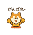 柴犬ひめちゃんのスタンプ（個別スタンプ：6）
