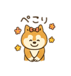 柴犬ひめちゃんのスタンプ（個別スタンプ：8）