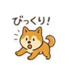 柴犬ひめちゃんのスタンプ（個別スタンプ：10）