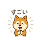 柴犬ひめちゃんのスタンプ（個別スタンプ：11）