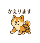 柴犬ひめちゃんのスタンプ（個別スタンプ：15）