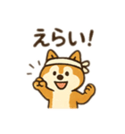 柴犬ひめちゃんのスタンプ（個別スタンプ：16）