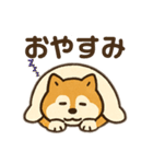 柴犬ひめちゃんのスタンプ（個別スタンプ：20）