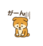 柴犬ひめちゃんのスタンプ（個別スタンプ：21）