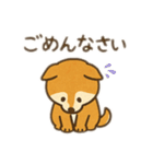 柴犬ひめちゃんのスタンプ（個別スタンプ：25）