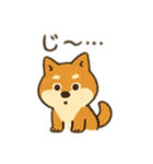 柴犬ひめちゃんのスタンプ（個別スタンプ：26）
