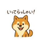 柴犬ひめちゃんのスタンプ（個別スタンプ：27）