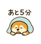 柴犬ひめちゃんのスタンプ（個別スタンプ：30）