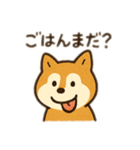 柴犬ひめちゃんのスタンプ（個別スタンプ：31）