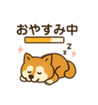 柴犬ひめちゃんのスタンプ（個別スタンプ：33）