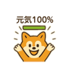 柴犬ひめちゃんのスタンプ（個別スタンプ：34）