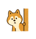 柴犬ひめちゃんのスタンプ（個別スタンプ：40）