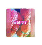 フォトジェニックさん其の弐（個別スタンプ：1）
