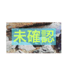 フォトジェニックさん其の弐（個別スタンプ：6）