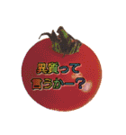 フォトジェニックさん其の弐（個別スタンプ：11）