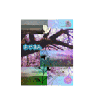 フォトジェニックさん其の弐（個別スタンプ：30）