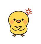 ぴよたんといっしょ vol.3 【感情編】（個別スタンプ：12）