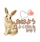 ウサギちゃん☆大切な人への日常スタンプ（個別スタンプ：1）